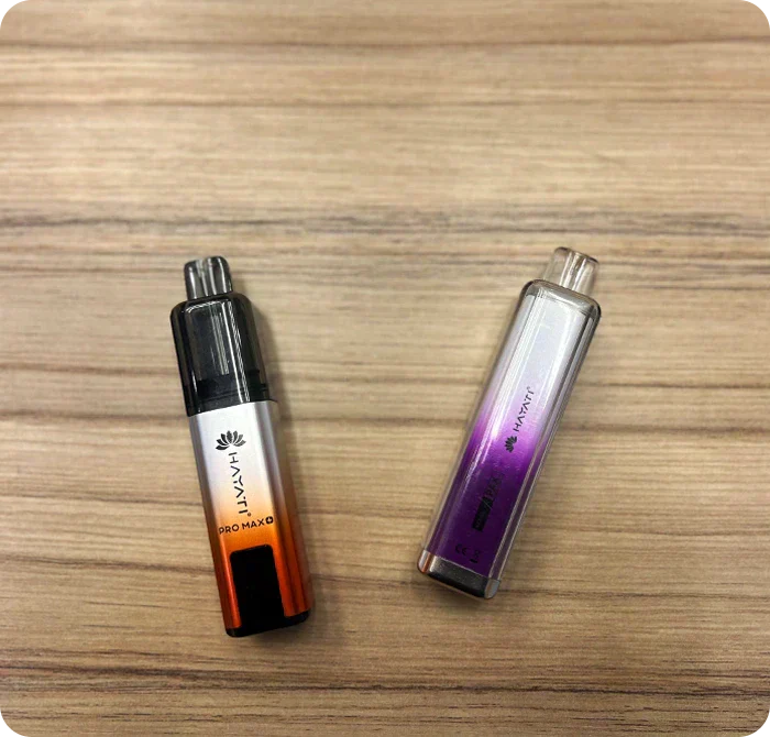 Pro Max 6000 vs. Pro Max 4000 – What’s the Difference?