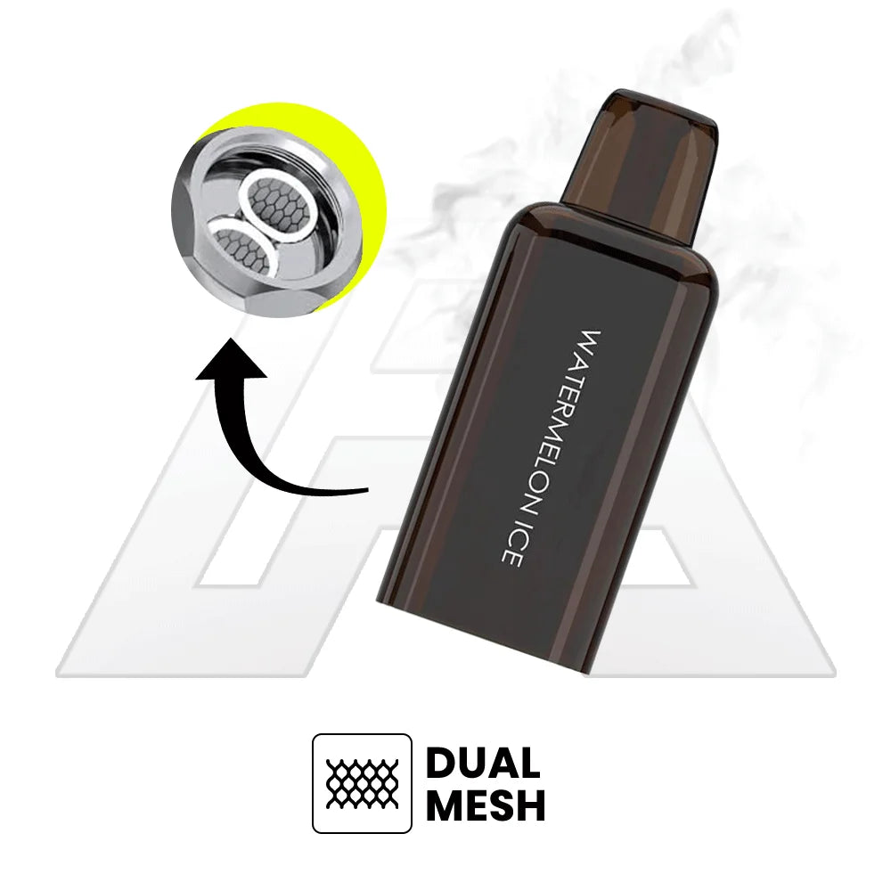 Bash Besvapin Echo Pro 10K Prefilled Pods Dua mesh   pod